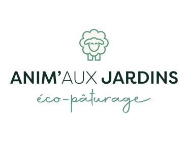 Eco pâturage en Indre et Loire par Anim'aux Jardins